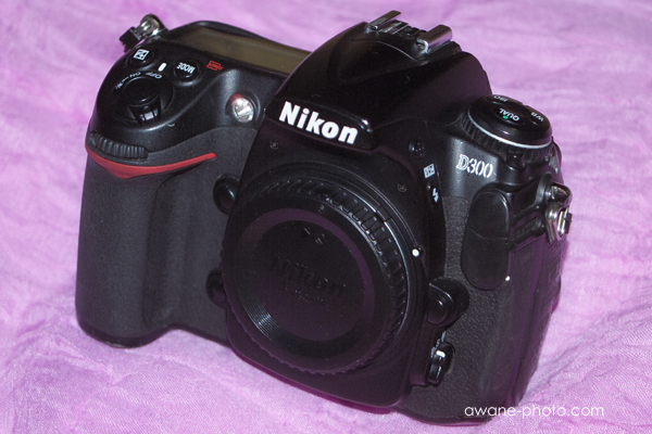 Nikon D300様をお迎えした～撮影日記